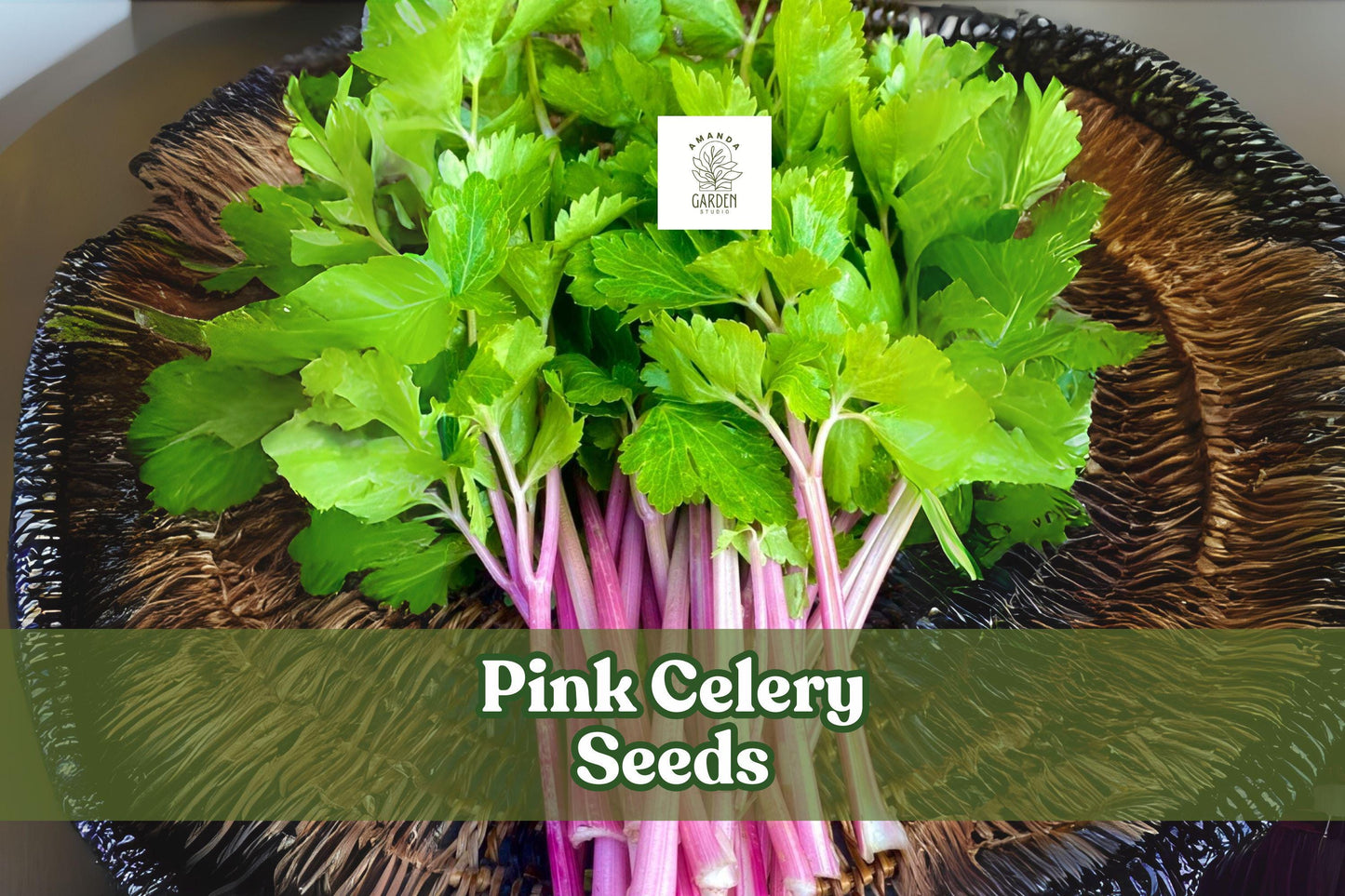 50 Pink Celery Seeds - Chinese Heirloom Vegetable Seeds, Non-GMO, Apium graveolens, Unique Pink Stalks for Home Garden