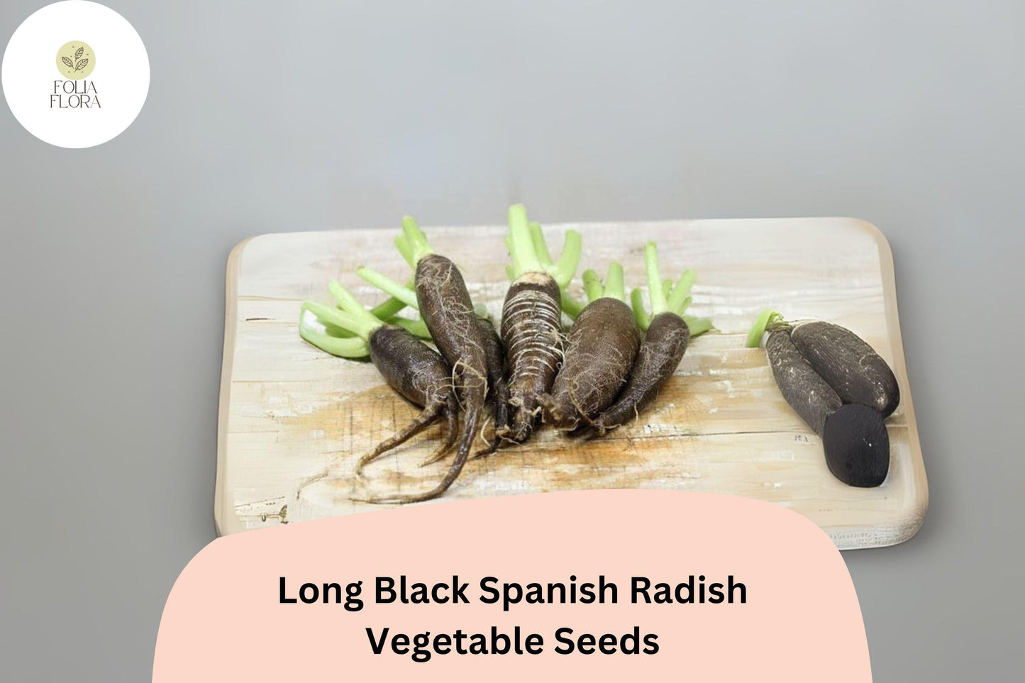 500+ Long Black Spanish Radish Seeds - Heirloom Winter Radish (Raphanus sativus var. niger) - Non-GMO, Crisp White Flesh