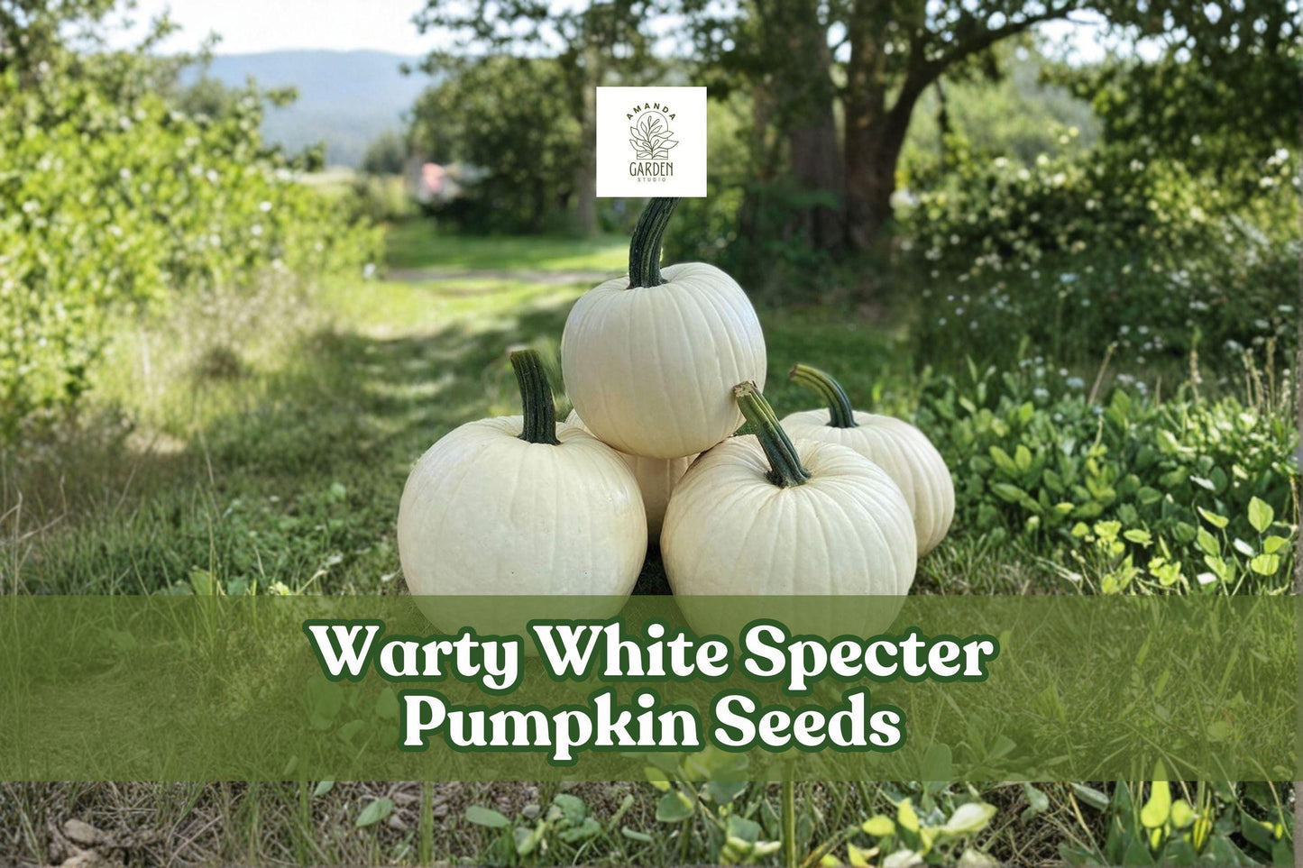 Warty White Specter Pumpkin Seeds - 10 Heirloom Seeds for Ornamental Gardens - Cucurbita maxima - Unique White Gourd