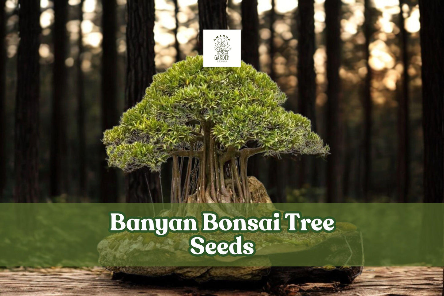 Banyan Bonsai Tree Seeds - 30 Premium Ficus benghalensis Seeds for Indoor Gardening & Bonsai Art - Tropical Evergreen Variety