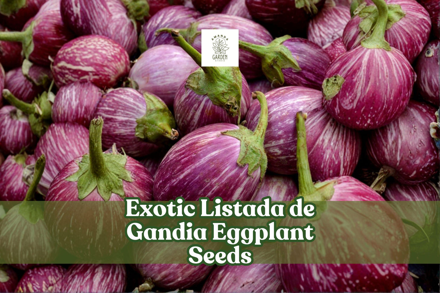 Listada de Gandia Eggplant Seeds | 50+ Heirloom Lavender Striped Seeds | Solanum melongena | Easy to Grow Vegetable