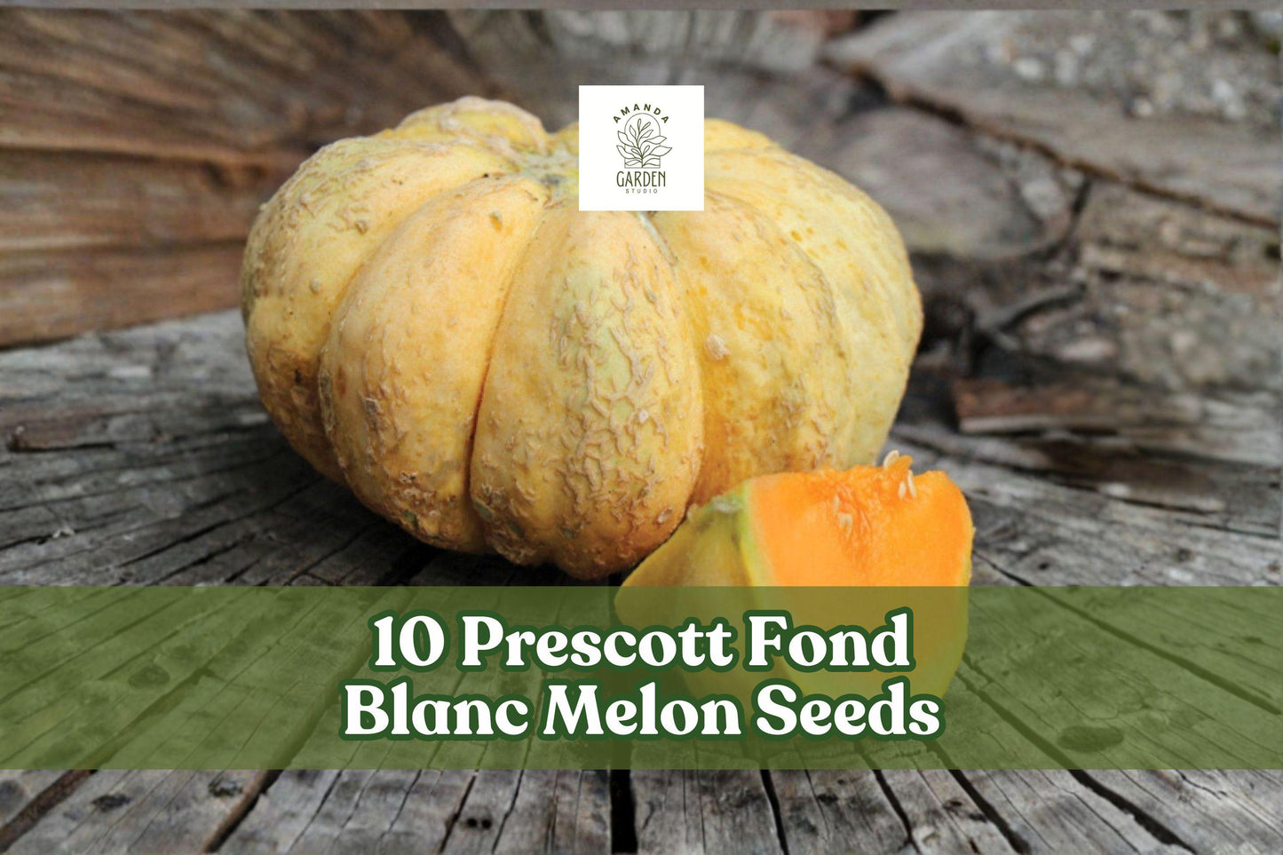 10 Prescott Fond Blanc Melon Seeds - Rare French Heirloom Cucumis melo - Ribbed Pumpkin-like Exterior, Salmon-Orange Flesh