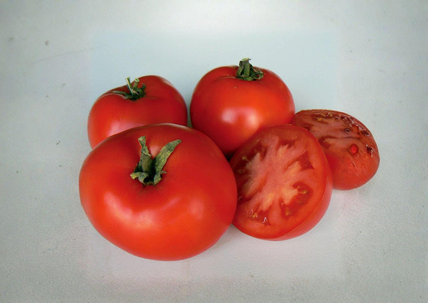 Legend Tomato Seeds – Heirloom Red Slicing Variety, Early Blight Resistant, Solanum lycopersicum - Bloom Haven Nursery