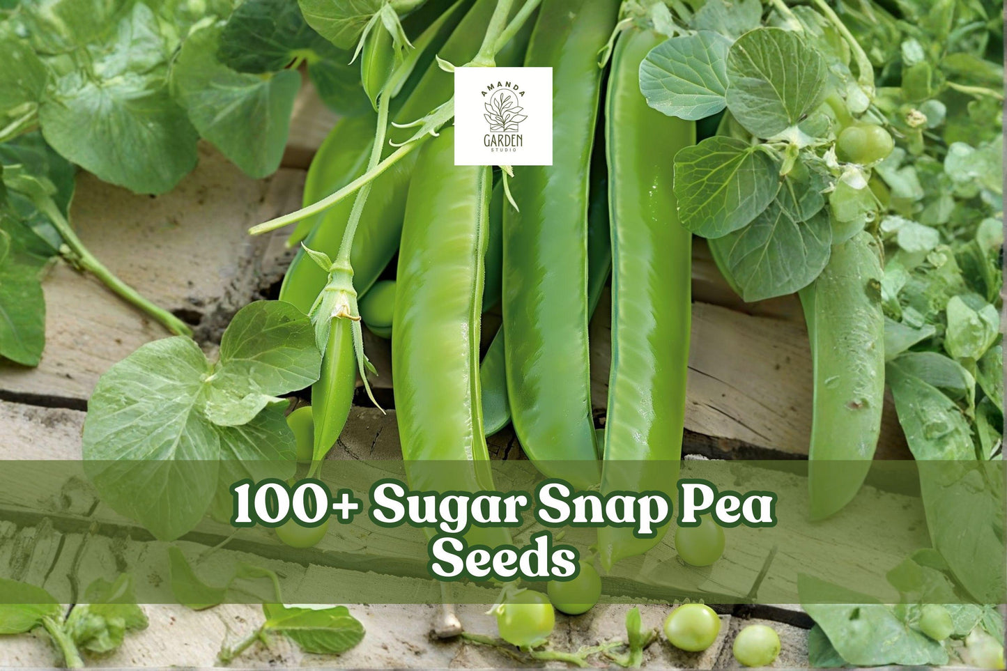 Sugar Snap Pea Seeds - 100+ Fresh Pisum Sativum - Sweet Crisp Pods for Backyard Vegetable Gardens - Cool Season Climbing Plant