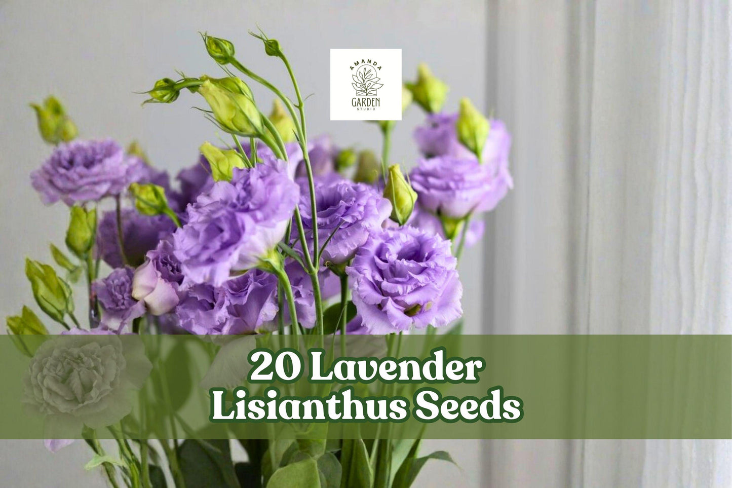 Lavender Lisianthus Seeds - 20 Eustoma grandiflorum for Garden Beds, Borders & Cut Flowers - Elegant Lavender Blooms