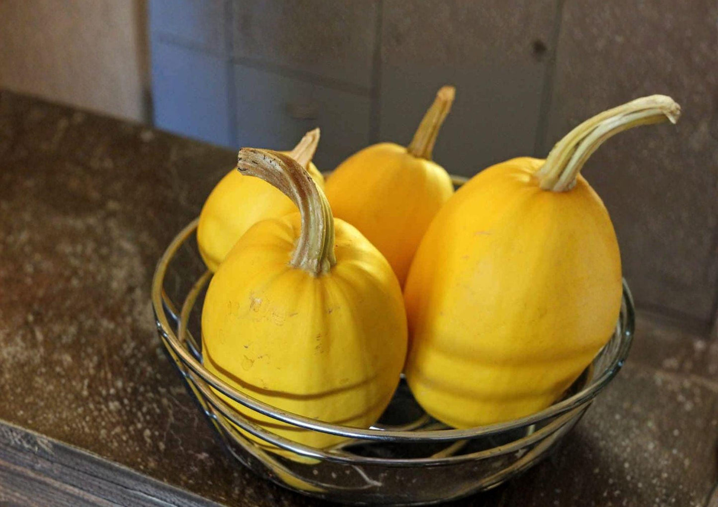 Heirloom Spaghetti Squash Seeds - 10 Non-GMO Vegetable Seeds for Pasta-Like Flesh - Cucurbita pepo