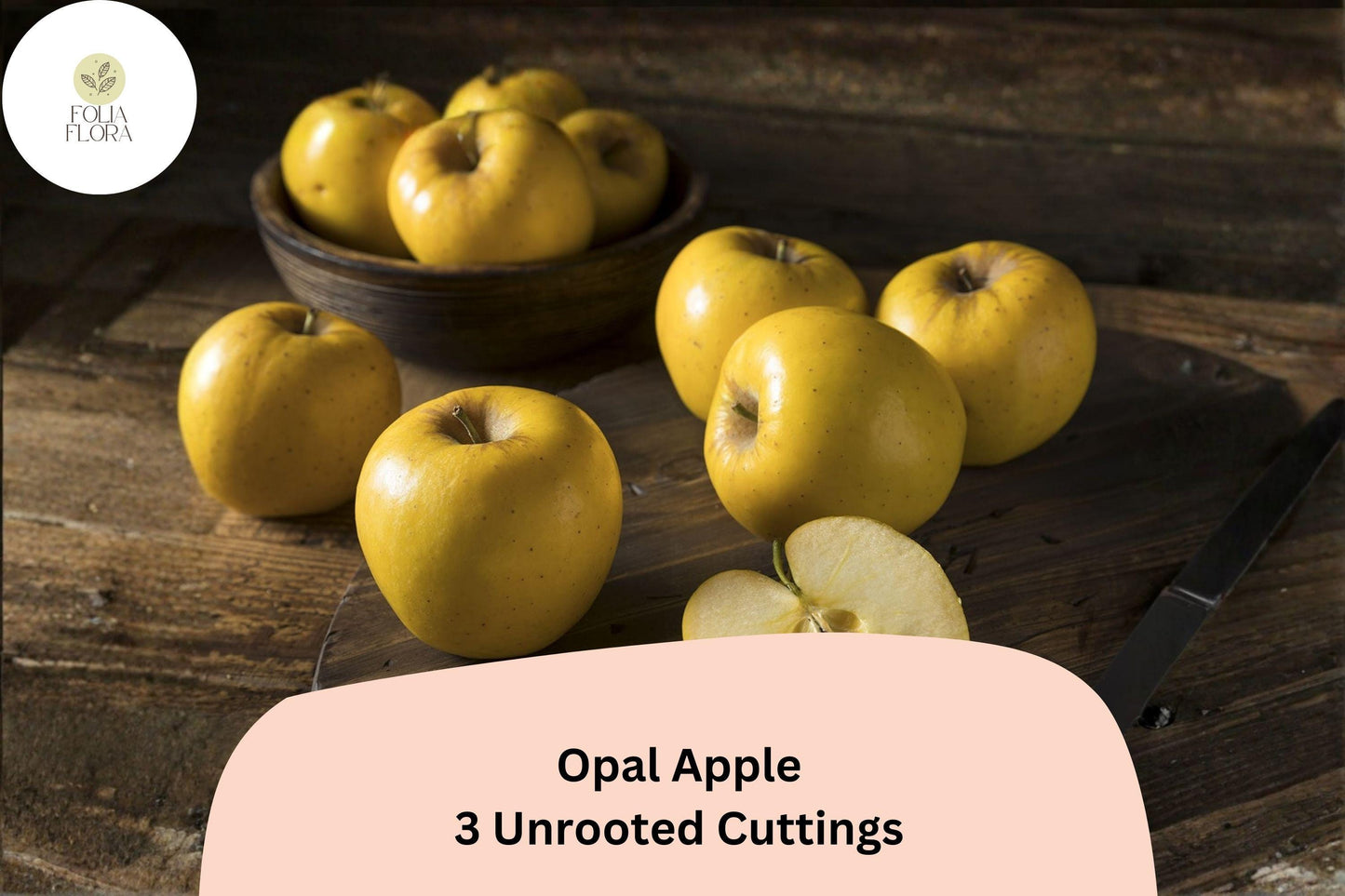 Opal Apple Tree Cuttings - 3 Fresh Rooting Grafting Cuttings - Malus domestica ‘Opal’ - Rare Golden Yellow Fruit Tree