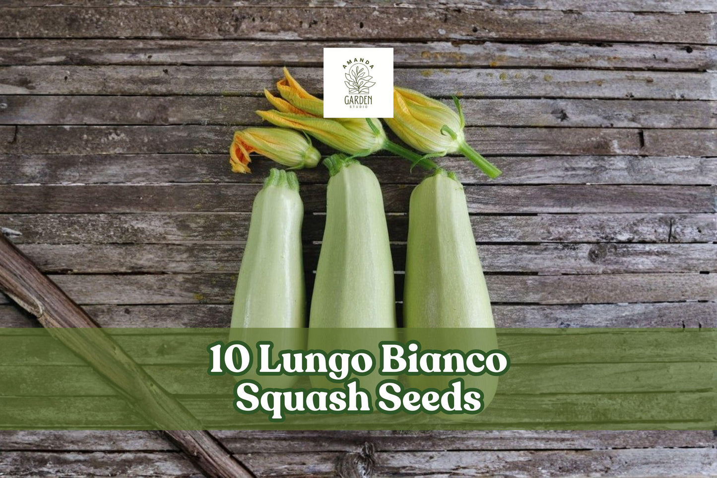 Lungo Bianco Squash Seeds - 10 Pack - Pale Green Summer Squash - Cucurbita pepo - Easy to Grow for Vegetable Gardens