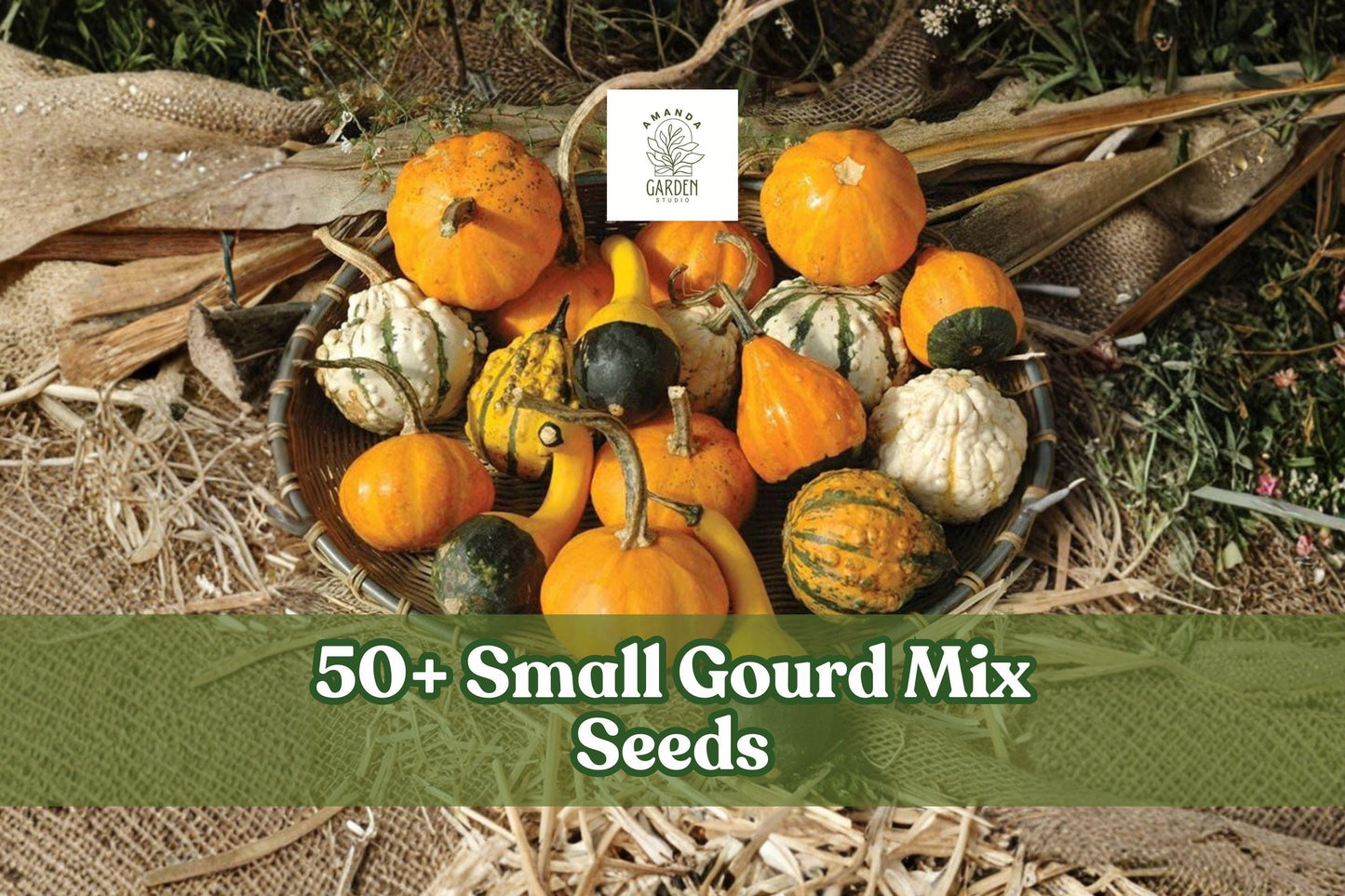 Small Gourd Mix Seeds - 50+ Mini Decorative Gourds for Fall Décor - Cucurbita pepo / Lagenaria siceraria