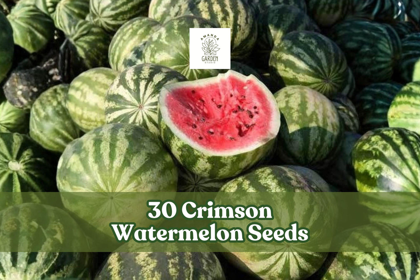 Crimson Watermelon Seeds - 30 Seeds of Citrullus lanatus - Sweet Red Flesh, Green Rind - Easy Grow Garden Fruit Vine