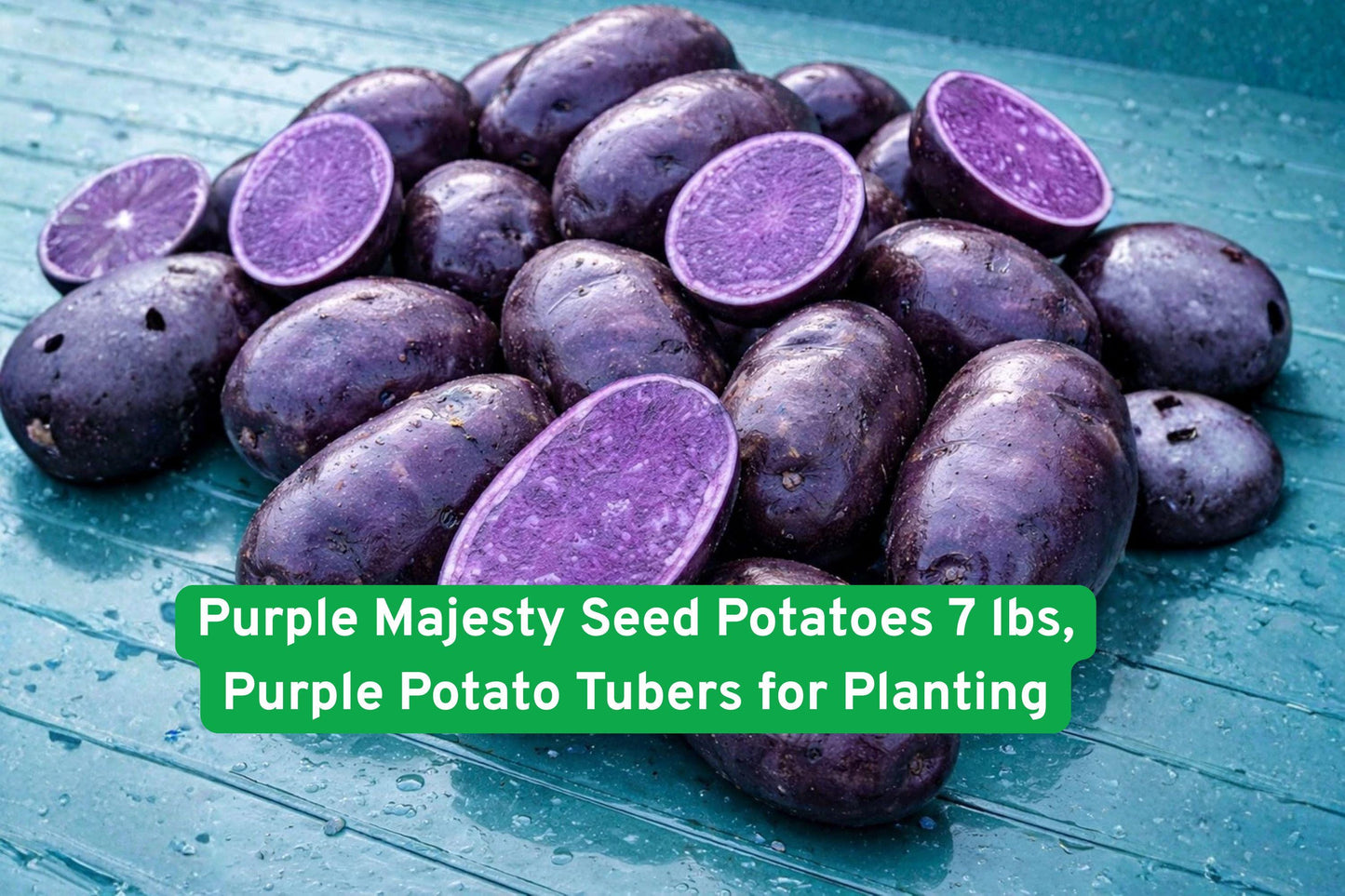 Purple Majesty Seed Potatoes 7 lbs - Deep Purple Tubers for Planting - Solanum tuberosum - High Yield, Easy to Grow, Nutritious