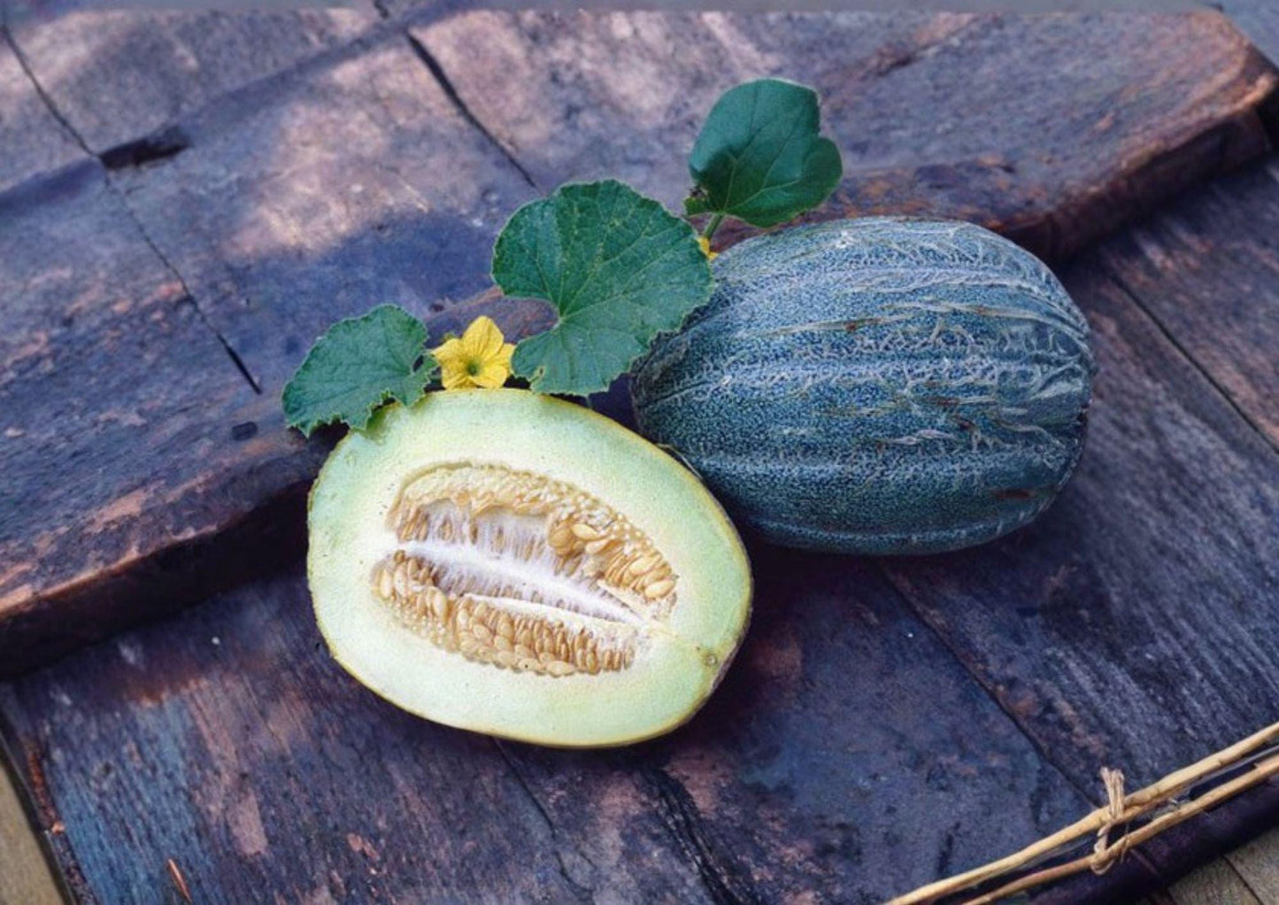 Early Valencia Melon Seeds - 12+ Heirloom Sweet Honeydew Seeds for Garden Planting - Juicy Green Flesh Fruit