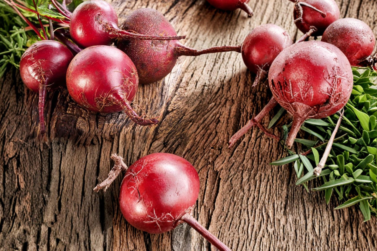 Blood Beet Seeds 250 Count - Deep Red Root Vegetable - Beta vulgaris - Edible Roots & Leafy Tops for Home Garden