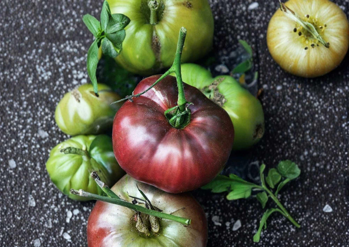 Black Brandywine Tomato Seeds - 30+ Heirloom Beefsteak Seeds, Dark Purple Red Fruits, Rich Flavor - Perfect for Garden Planting