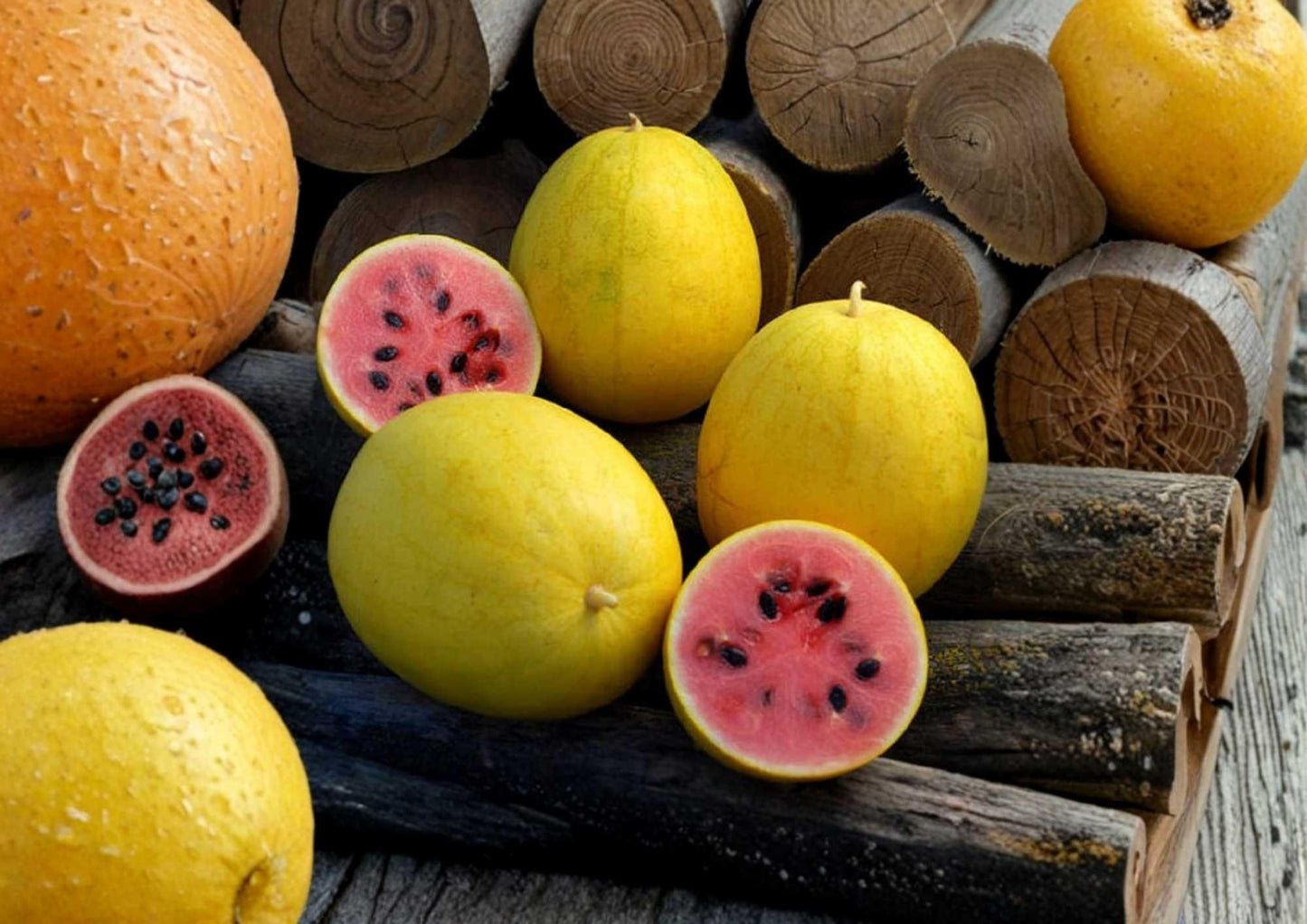 Golden Midget Watermelon Seeds - 12 Heirloom Organic Non-GMO Mini Yellow Skinned Sweet Fruit Seeds for Garden Planting - Citrullus lanatus