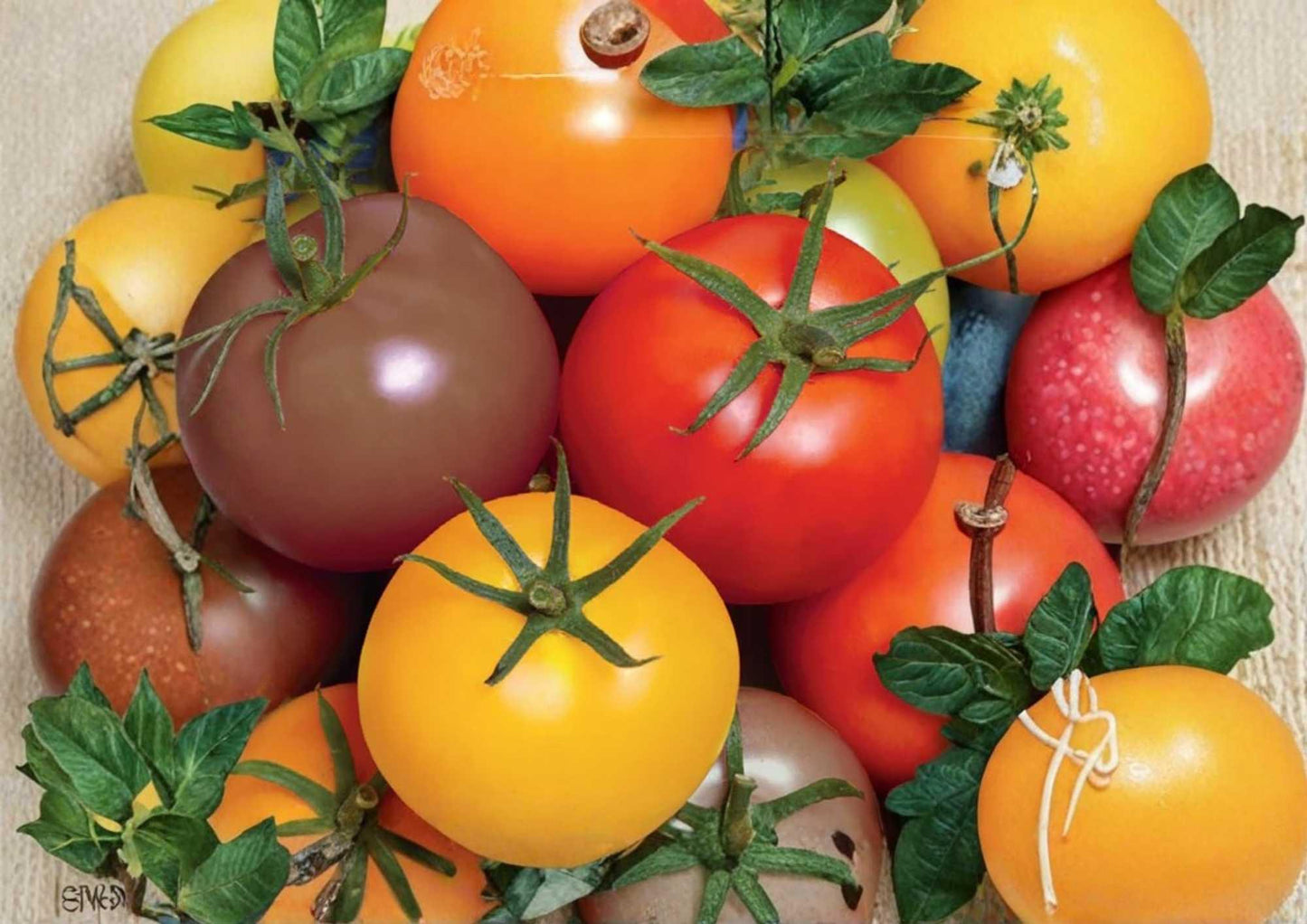 Rainbow Cherry Tomato Seeds - 120+ Heirloom Non-GMO Vegetable Seeds for Garden Planting - Sweet Snack Tomatoes