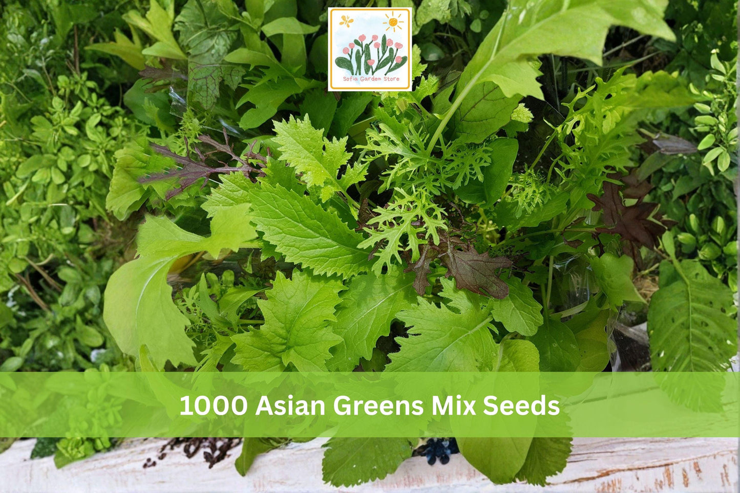 Asian Greens Mix Seeds 1000+ Count - Fast-Growing Microgreens & Baby Leaf Blend - Leafy Vegetable Mix for Indoor/Outdoor Gardening