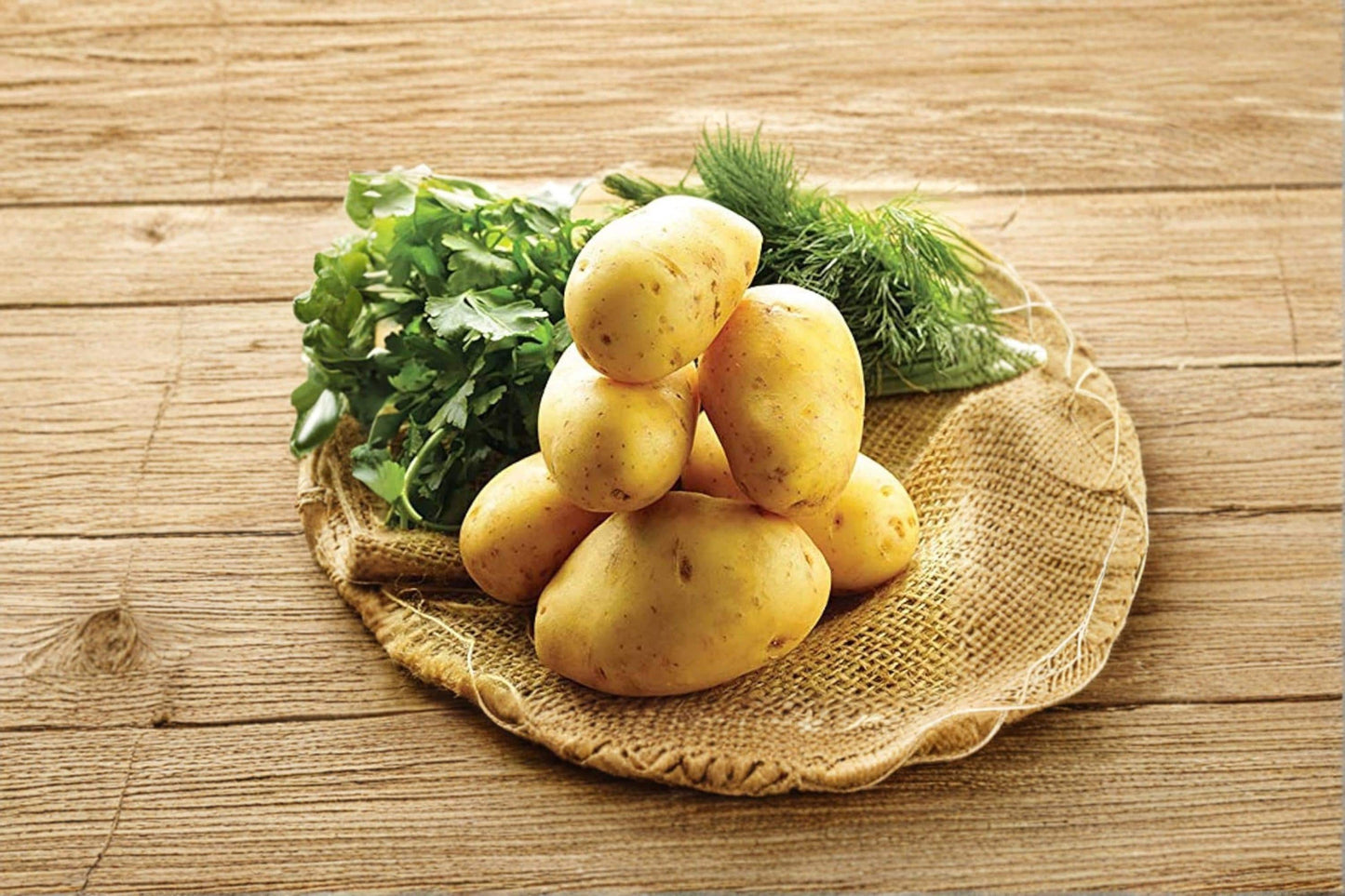German Butterball Potato 3 Pounds - Heirloom Yellow Flesh Seed Potatoes for Planting - Solanum tuberosum