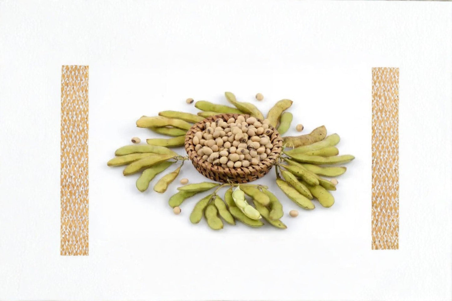 Soybean Meal 2 Pack - High-Protein Soil Conditioner & Feed Supplement - Glycine max - Organic Fertilizer for Garden & Farm