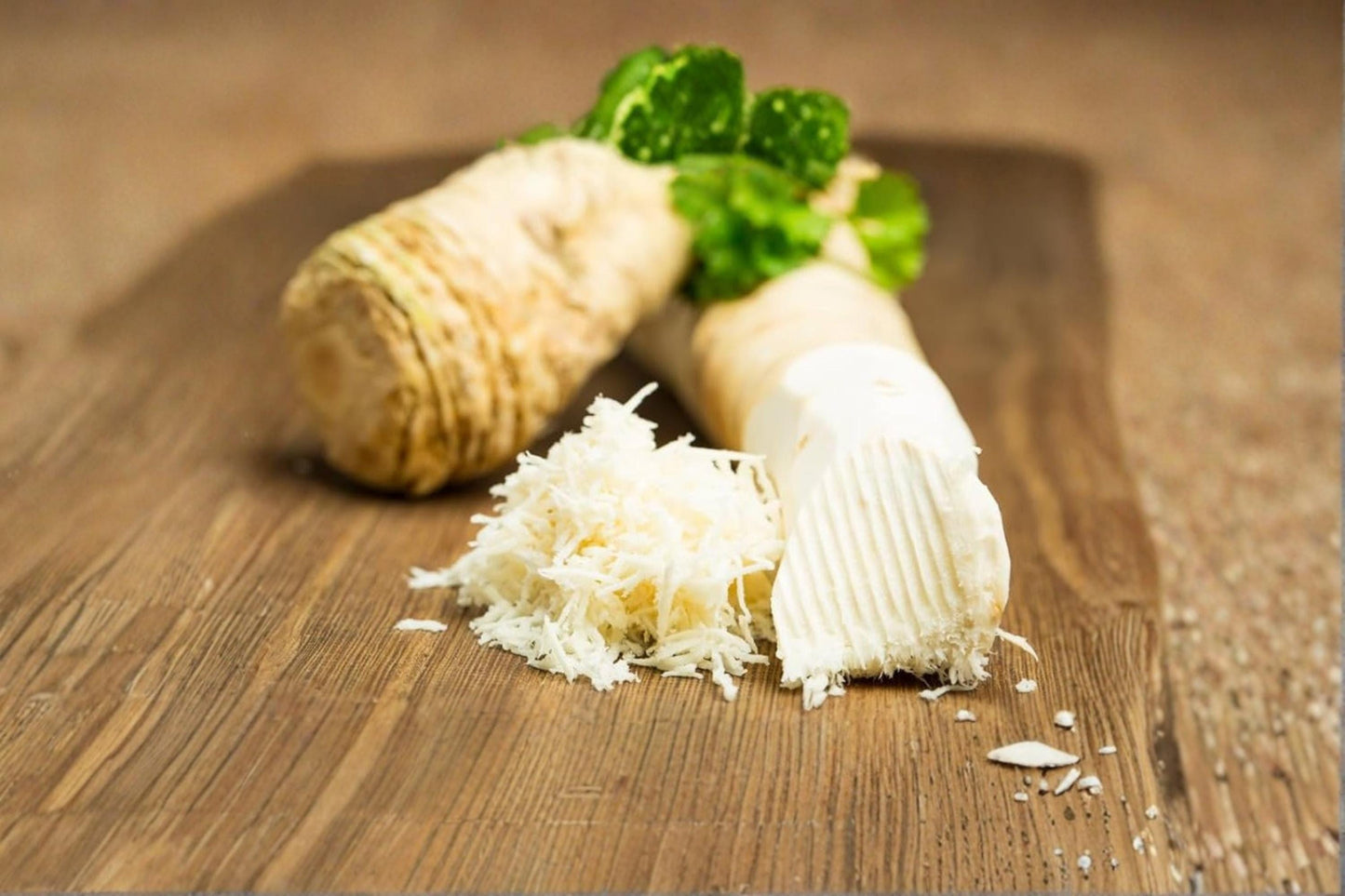 Horseradish Root Crown for Planting - Edible Perennial Vegetable - Armoracia rusticana - Hardy Garden Root Crop