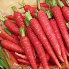 Atomic Red Carrot Seeds - 150 Count - Daucus carota - Vibrant, Nutrient-Rich, Sweet Flavor for Home Gardens