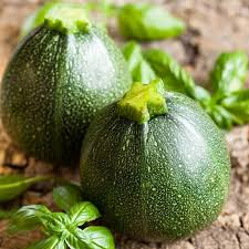 Summer Squash Round Zucchini Seeds 1g Non-GMO High-Yield Easy Grow Cucurbita pepo Unique Round Shape Edible Vegetable