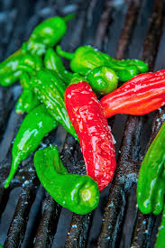 Shishito Hot Pepper Seeds 250 mg - Capsicum annuum | Mildly Spicy Japanese Pepper for Planting & Cooking