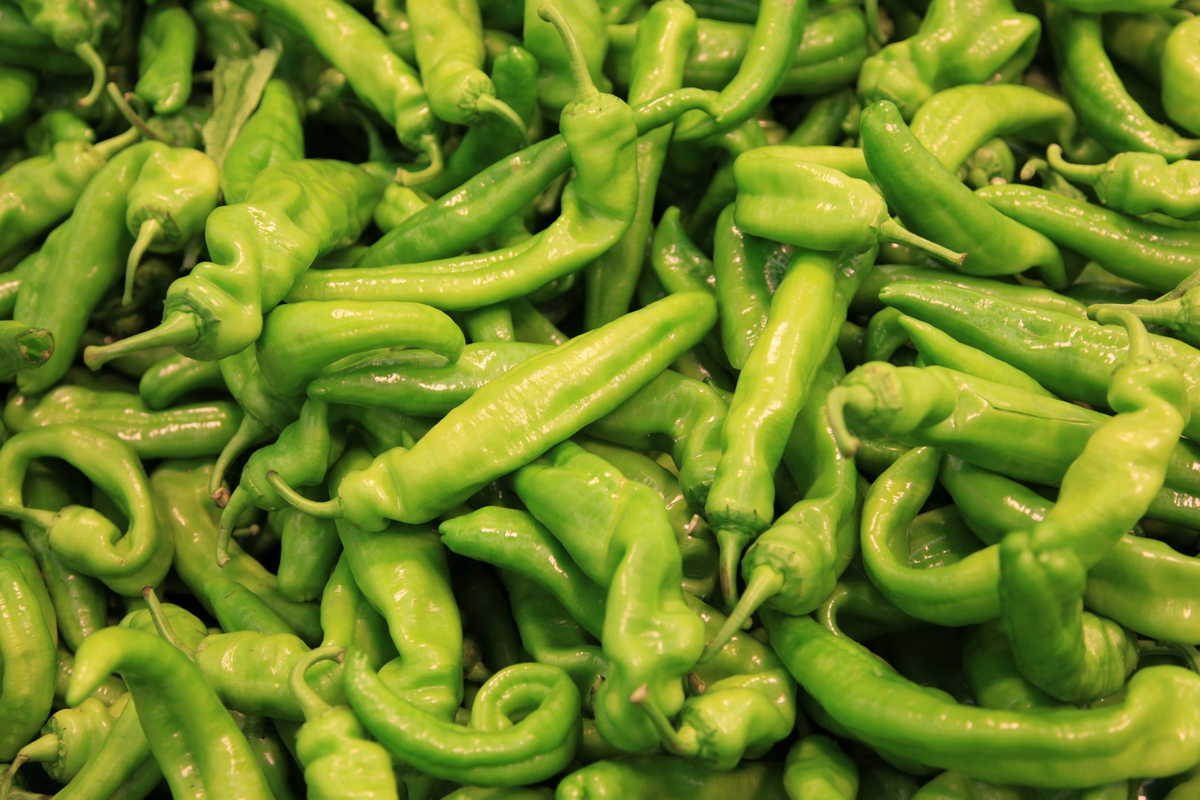 Pepperoncini Sweet Pepper Seeds 250mg - Heirloom, Mild & Tangy, High Yield, Capsicum annuum