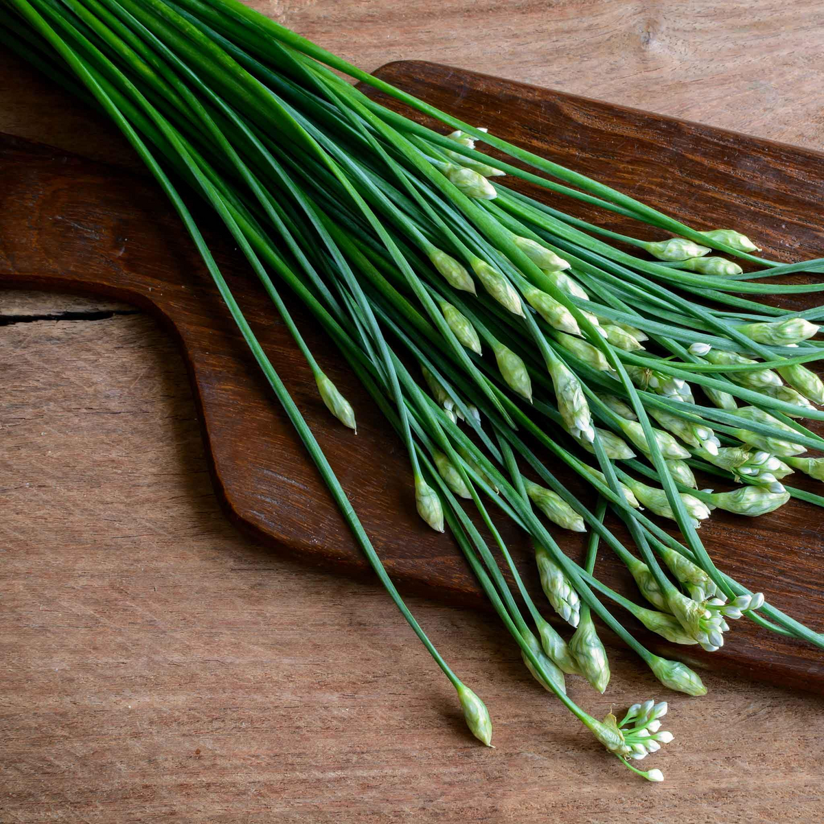 Garlic Chives Seeds 300mg Heirloom Allium tuberosum Fragrant High Yield Perennial Herb for Garden & Container
