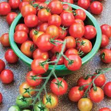 Tomato Seeds 100mg - Heirloom Red Cherry Variety, Sweet & Juicy, High Yield, Solanum lycopersicum for Garden Containers