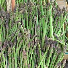 10 Jersey Giant Asparagus Bare Root Crowns | 2-Year Plants | High Yield, Cold Hardy & Disease Resistant | Asparagus officinalis 'Jersey Giant'