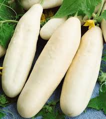 50 Seeds White Wonder Cucumber - Creamy White Skin, Crisp Texture, Sweet Flavor - Cucumis sativus, Heirloom Variety