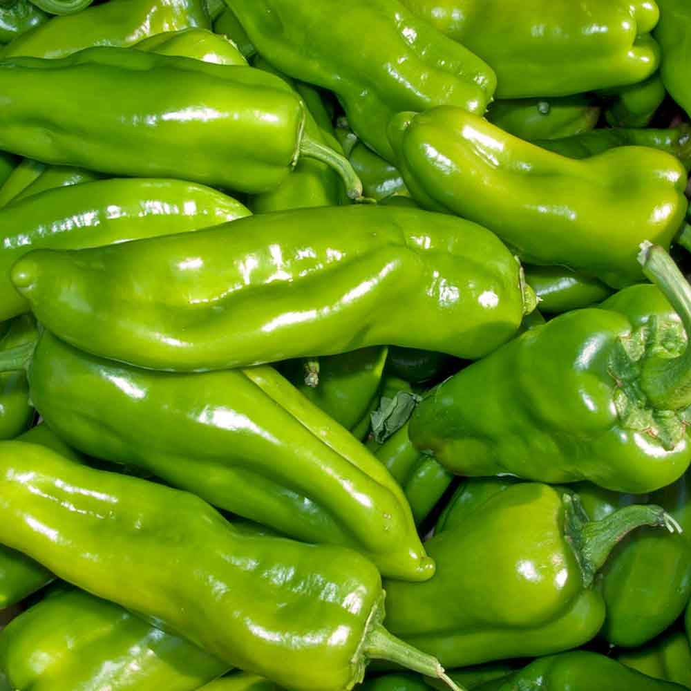 25 Cubanelle Sweet Pepper Seeds - Capsicum annuum - Mild, Crisp & Flavorful - High-Yielding for Frying & Roasting