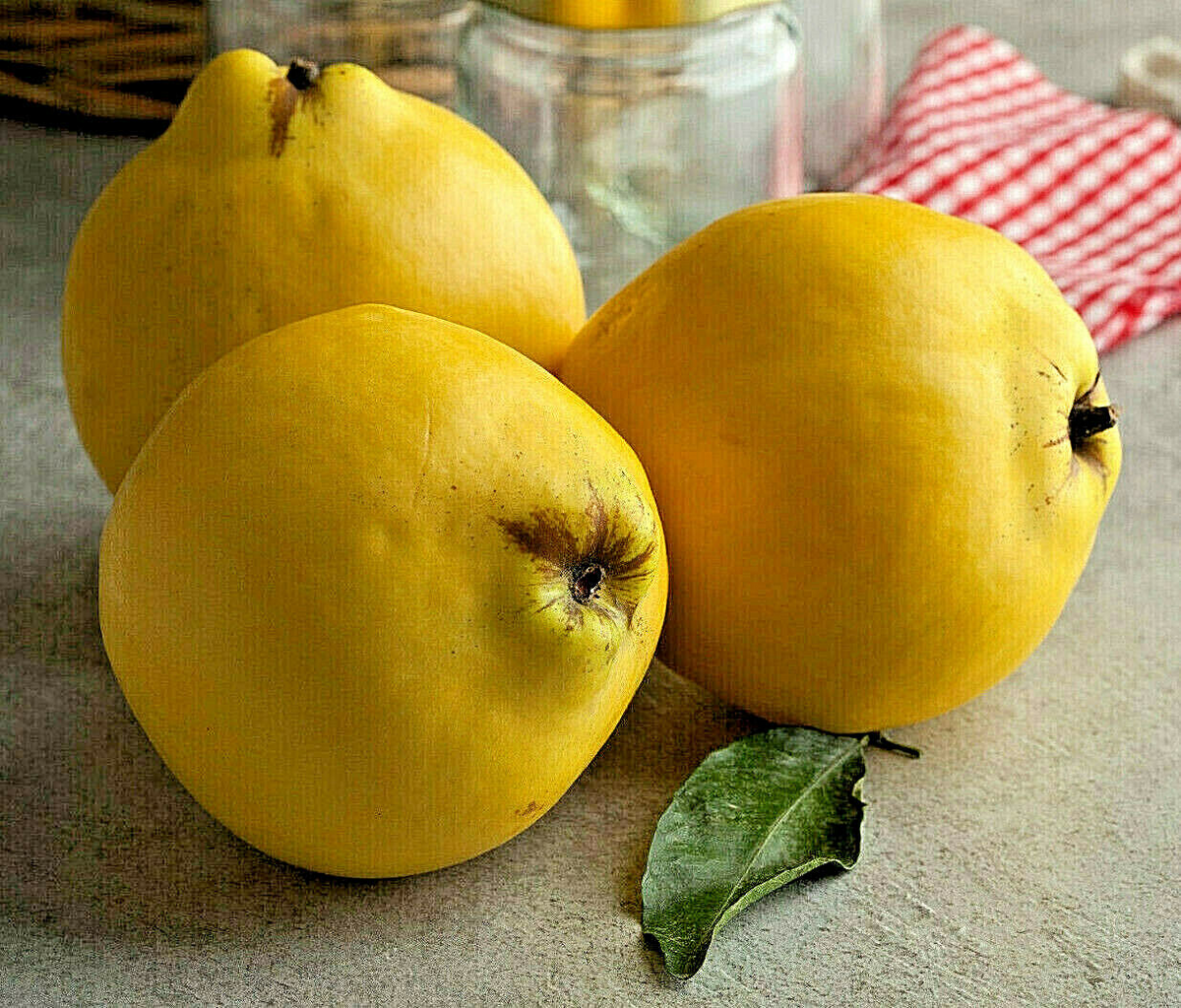 20 Quince Fruit Tree Seeds, Sweet Edible Fruit, Cydonia oblonga, Hardy Backyard Orchard Starter, Homegrown Gardening