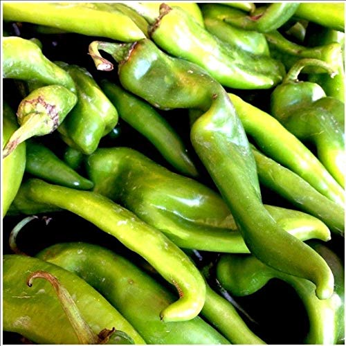 Hatch Rattlesnake Pepper Seeds - 25 Heirloom Seeds - Capsicum annuum - Spicy & Smoky Chile Variety