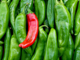 Sandia Hot Pepper Seeds 250mg - Medium-High Heat New Mexico Chili (Capsicum annuum) - Perfect for Roasting & Salsas