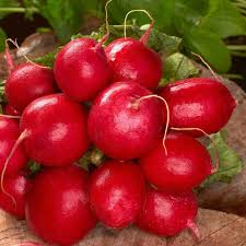 Radish Seeds 1g Cherry Belle Heirloom Variety Raphanus sativus Crisp Mild Flavor Fast Growing High Yield Garden Container