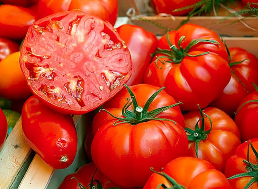 30 Beefsteak Tomato Seeds - Large Juicy Meaty for Slicing - Solanum lycopersicum - Heirloom, High-Yield, Deep Red Fruits