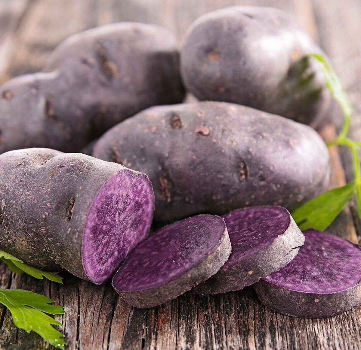 Blue Adirondack Seed Potatoes 500g - USDA Certified Purple Potatoes for Planting, Nutrient-Rich & Versatile Gardening - Heirloom Variety