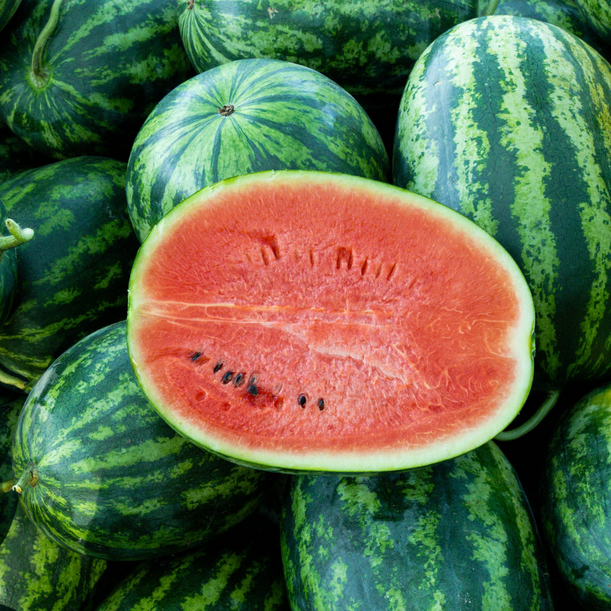 5 Seeds Jubilee Watermelon – Sweet Juicy Heirloom Fruit (Citrullus lanatus) – Green Striped Rind, Red Flesh