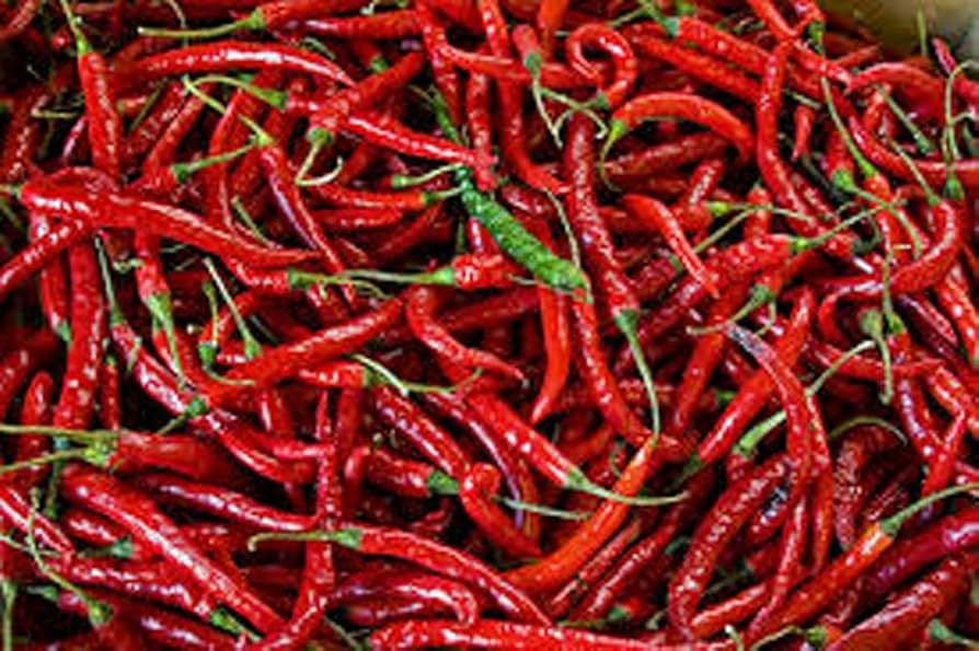 Cayenne Long Thin Pepper Seeds, 30 Count, Spicy Chili for Cooking and Drying, Capsicum Annuum