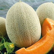 Hales Best Jumbo Melon Seeds 1g | Heirloom Non-GMO | Sweet Juicy Cantaloupe | Cucumis melo | Perfect for Home Gardens
