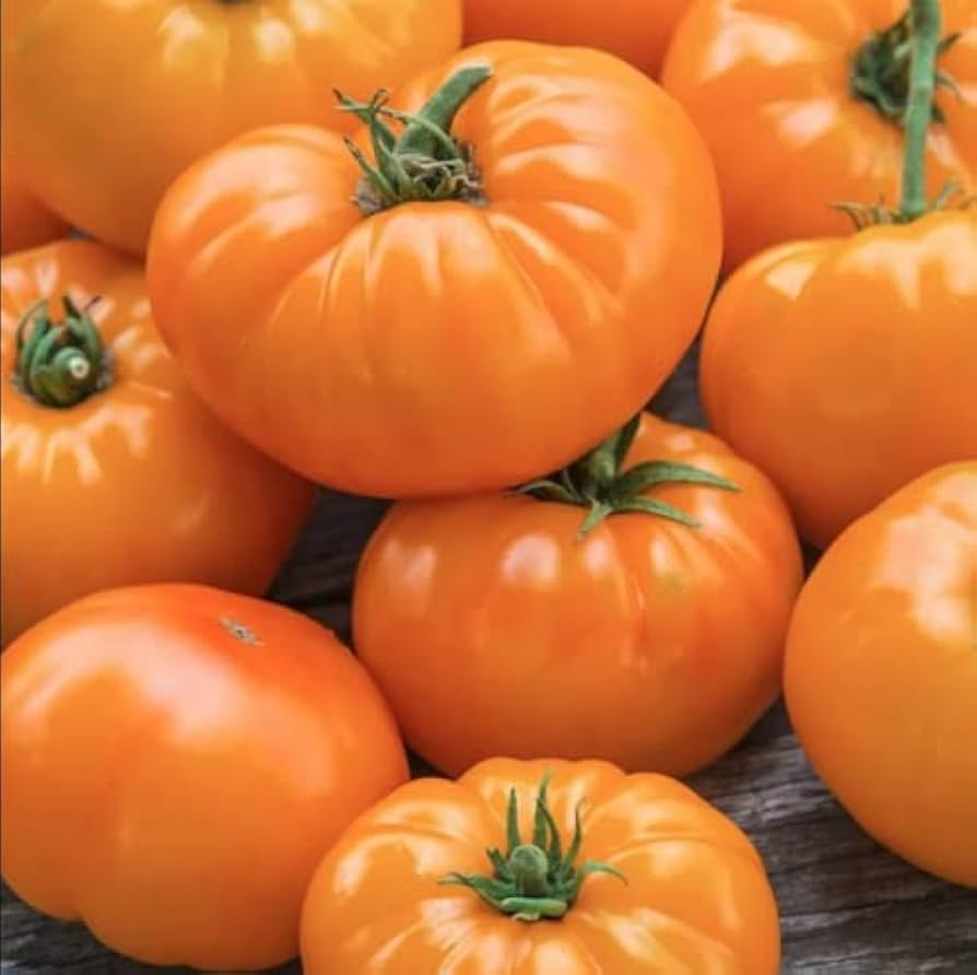 30 Amana Orange Tomato Seeds - Heirloom Beefsteak, High-Yielding, Low-Acid - Solanum lycopersicum, Perfect for Slicing