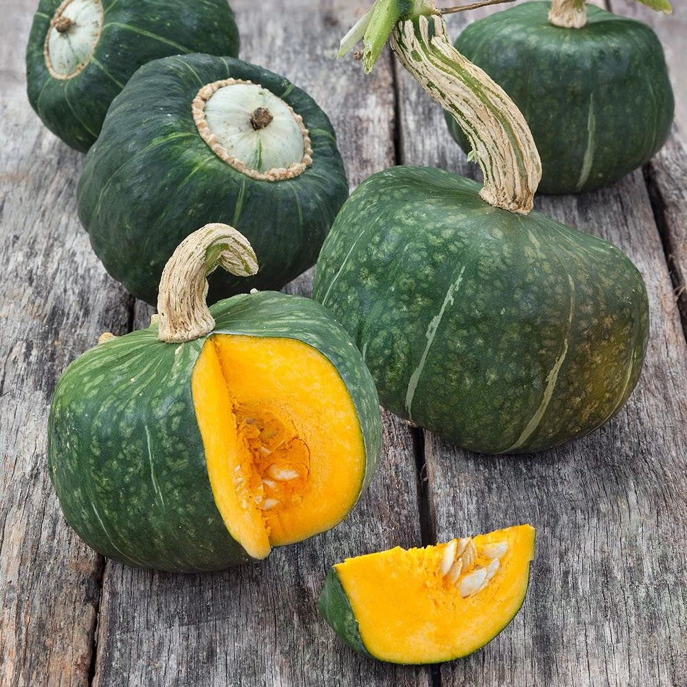 Burgess Buttercup Squash Seeds - 20+ Count Heirloom Vegetable Seeds - Cucurbita maxima for 2025 Planting