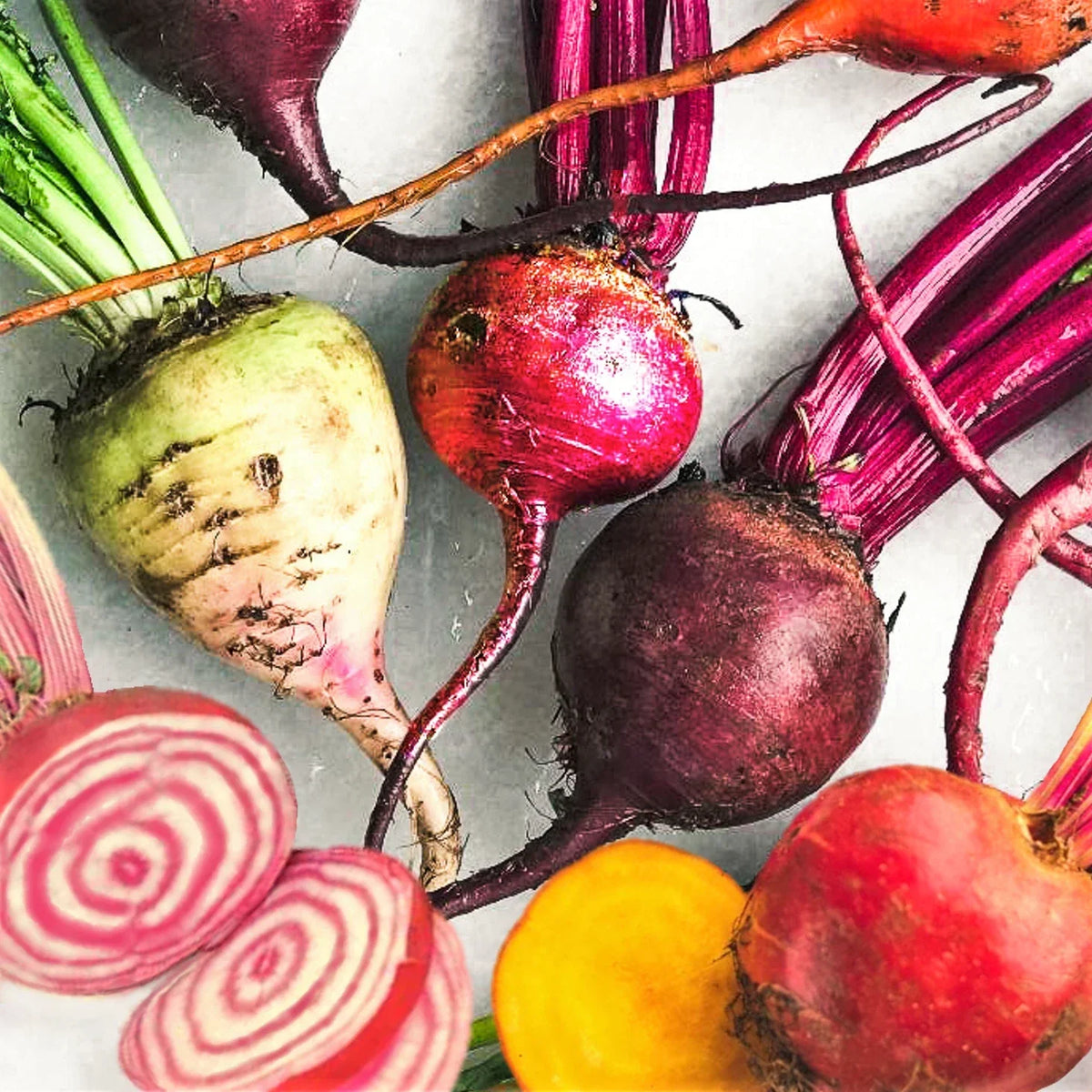 Rainbow Mix Beet Seeds - 5 Species Blend - Colorful Vegetable Garden - Beta vulgaris - Non-GMO, Easy to Grow, 200 Seeds