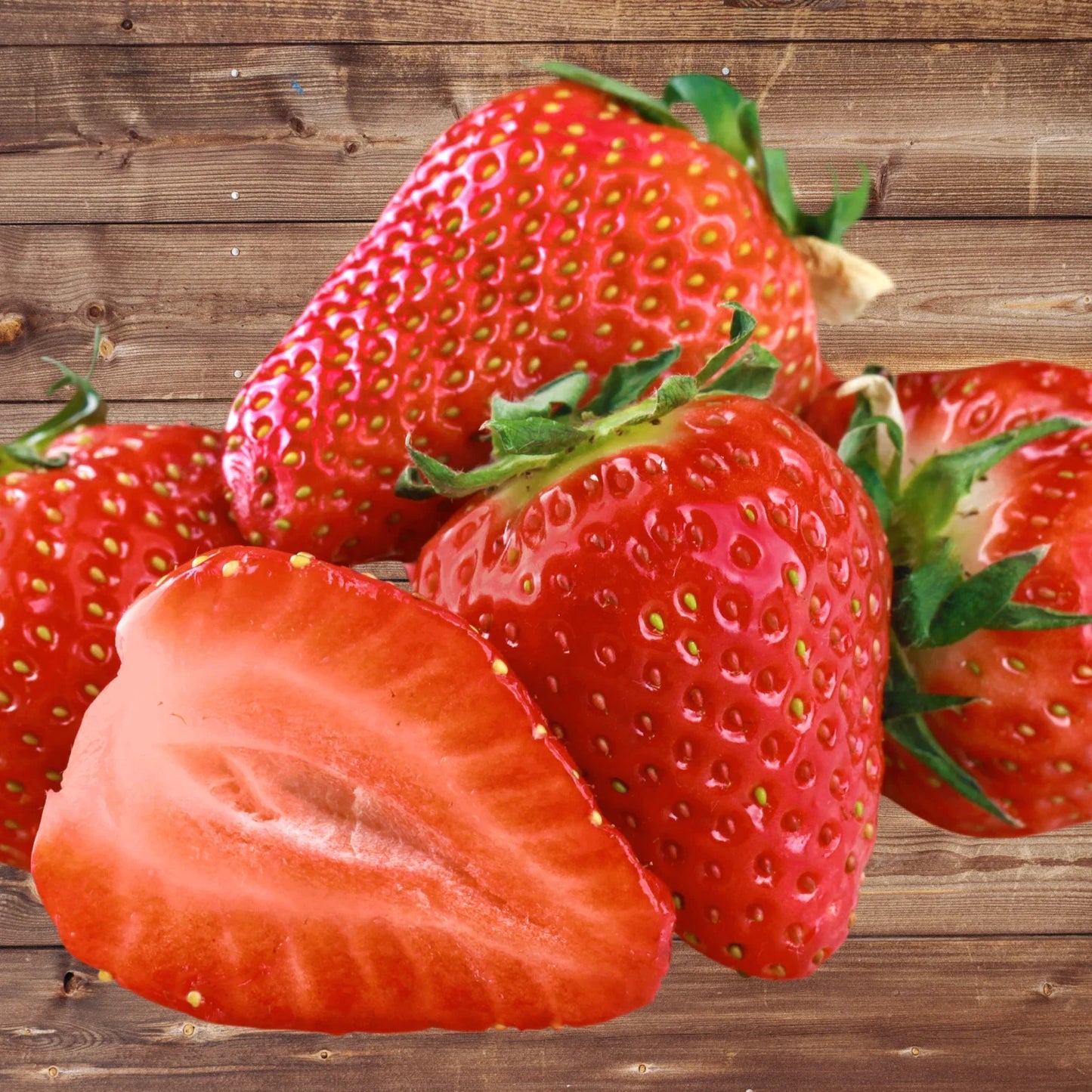 Seascape Strawberry Roots - Bare Root Plants | Ever-Bearing Variety | Fragaria x ananassa