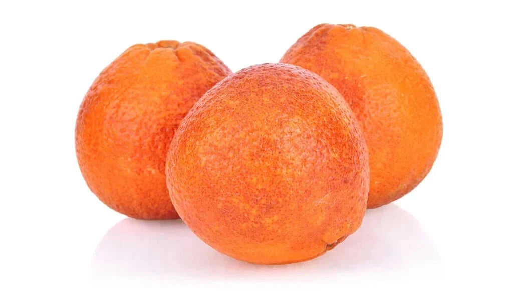 Moro Blood Orange Seeds - 5+ Pack for Garden Planting - Citrus sinensis - USA