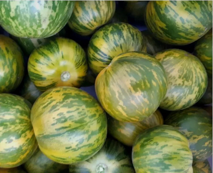 Green Zebra Tomato Seeds 50 Ct Heirloom Non-GMO Vegetable Seeds (Solanum lycopersicum) - Unique Green-Striped Tomatoes