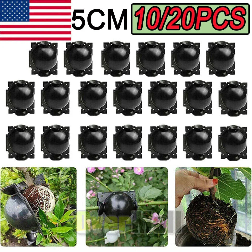 Plant Rooting Devices 10/20 Pack Grafting Boxes for High-Pressure Propagation - Indoor Gardening Hydroponics