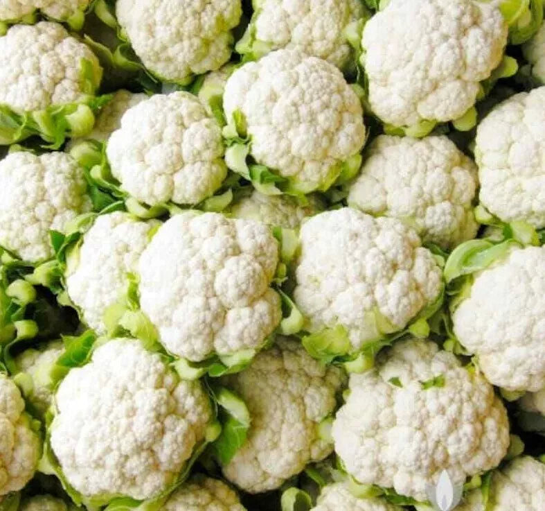 Cauliflower Seeds 300+ Non-GMO Snowball Y Improved Brassica oleracea Vegetable Garden Seeds, USA Free Shipping